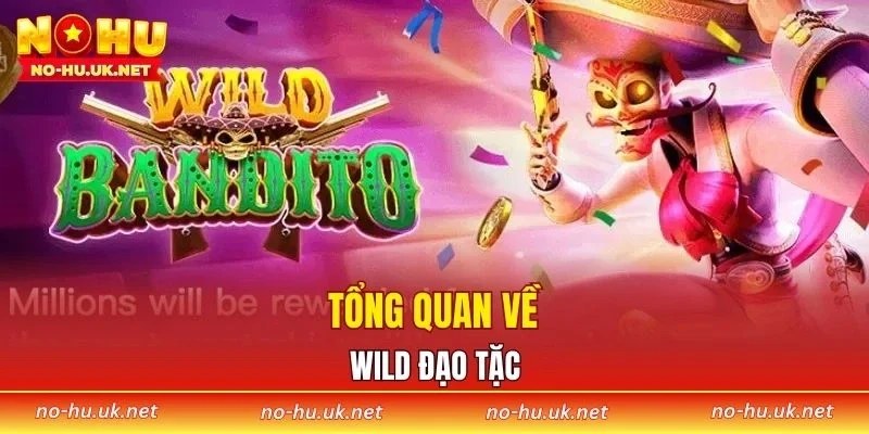 Tổng quan về Wild Đạo Tặc